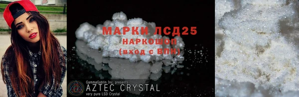 прущие грибы Алзамай