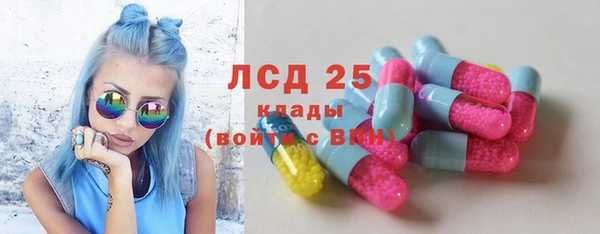 прущие грибы Алзамай