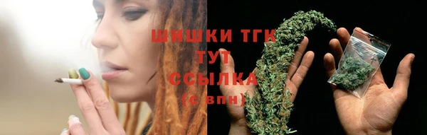 прущие грибы Алзамай