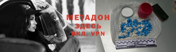 прущие грибы Алзамай