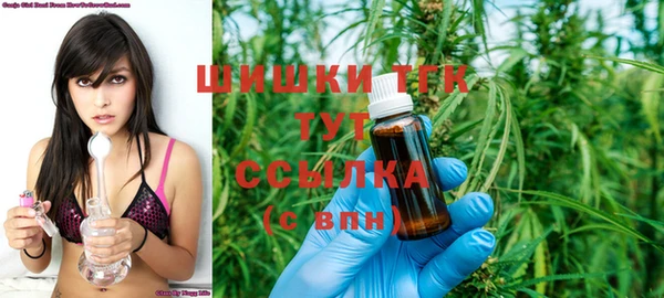 прущие грибы Алзамай
