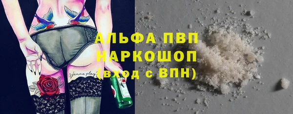 прущие грибы Алзамай