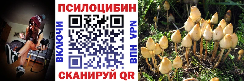 Псилоцибиновые грибы Magic Shrooms  hydra ссылки  Кремёнки 